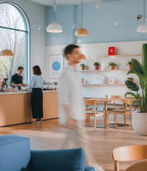 Bright studio kitchen with pendant lights and plants